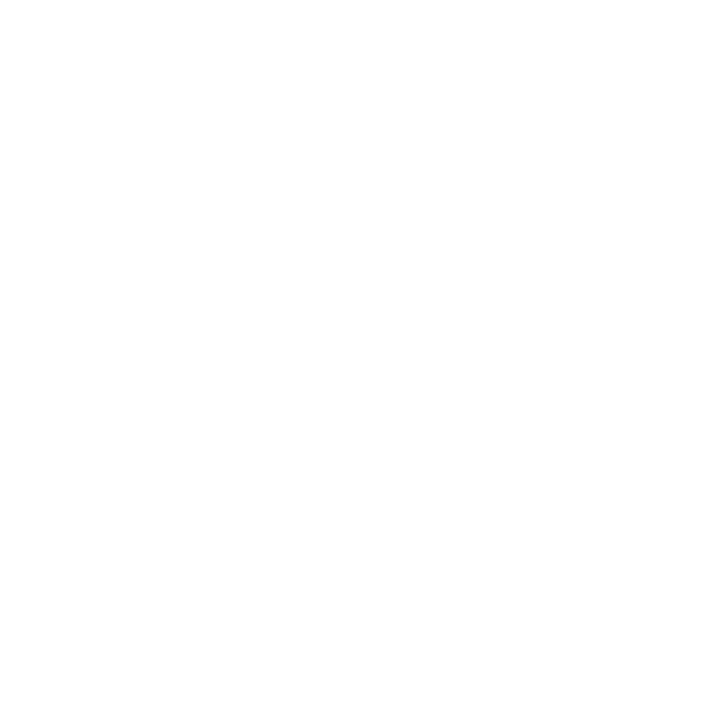 pizza deva logo white 1024